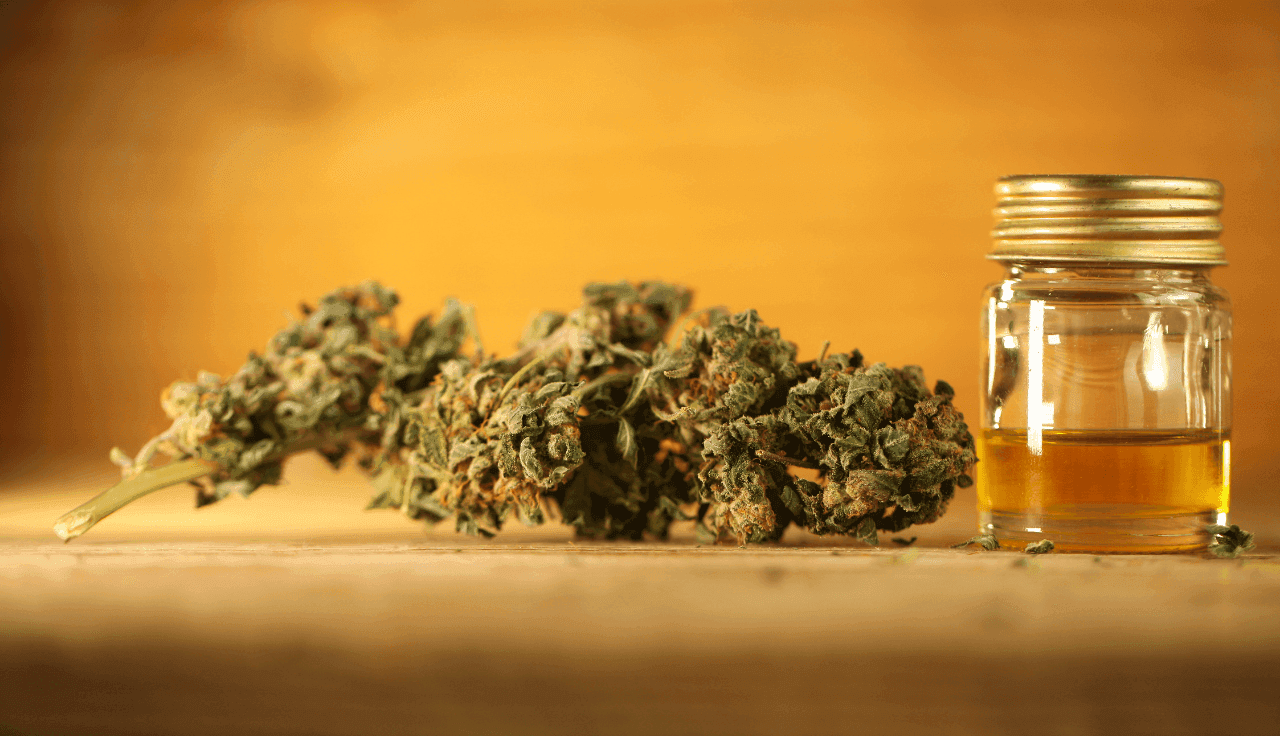 Cannabis Blüte und Extrakt auf gelbem Hintergrund